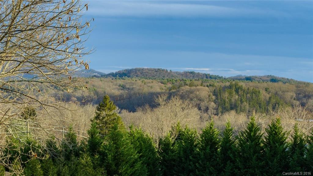 36 Tahkieostie Trail - Photo 4