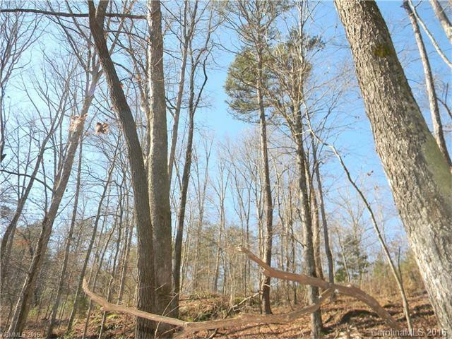 00 Nors Way #Lot 42 - Photo 13