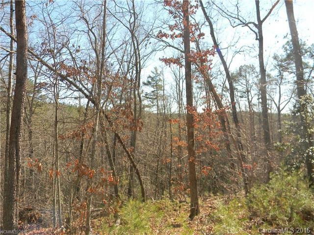 00 Nors Way #Lot 42 - Photo 14