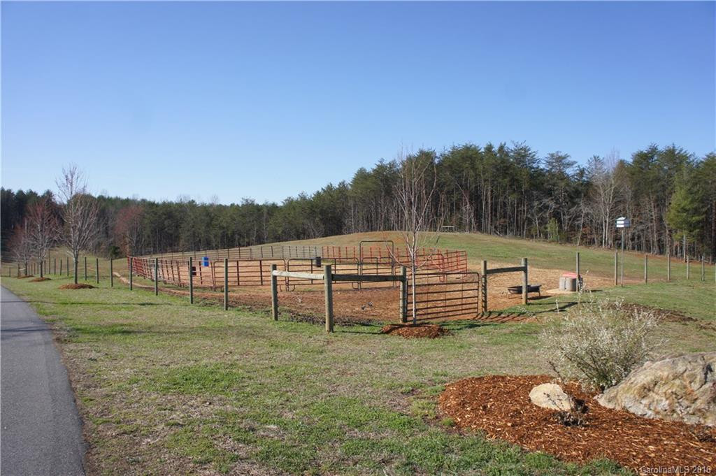 1250 Mountain Creek Road - Photo 3