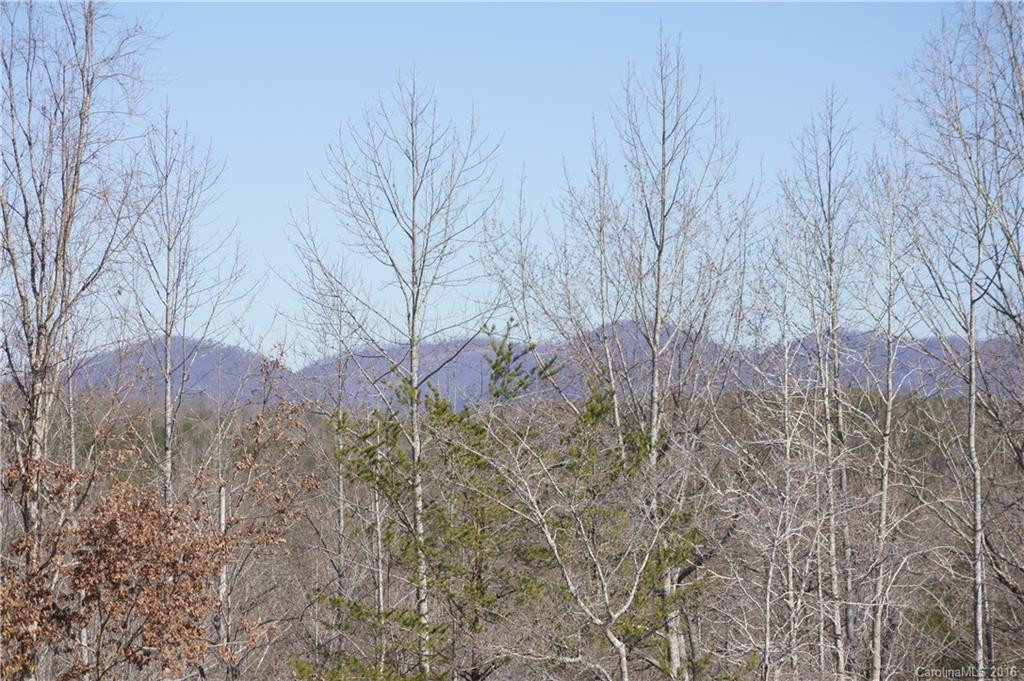 1250 Mountain Creek Road - Photo 22