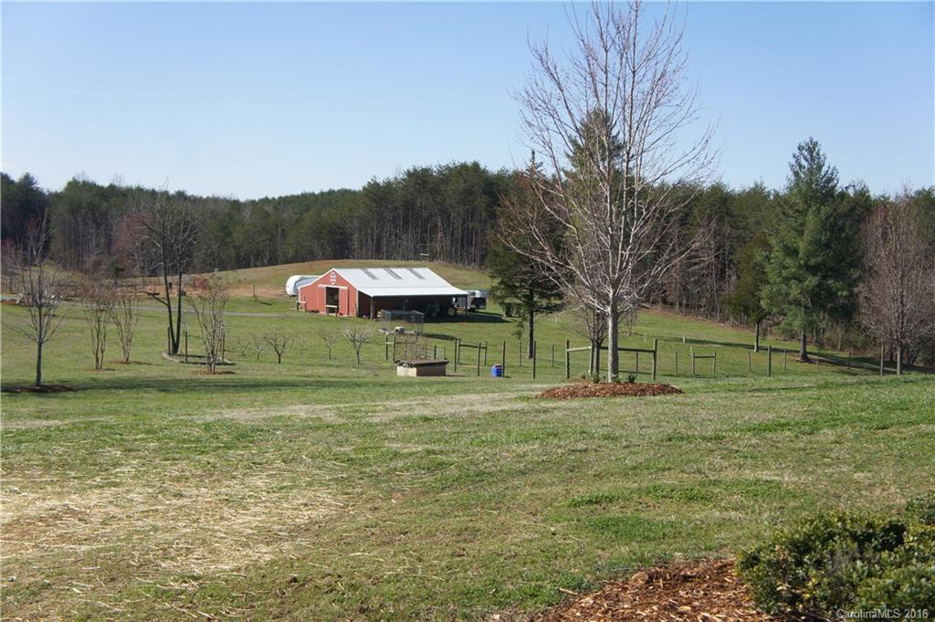 1250 Mountain Creek Road - Photo 4