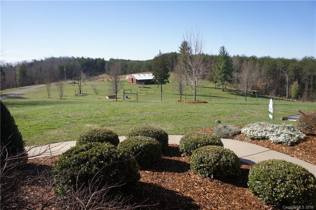 1250 Mountain Creek Road - Photo 5