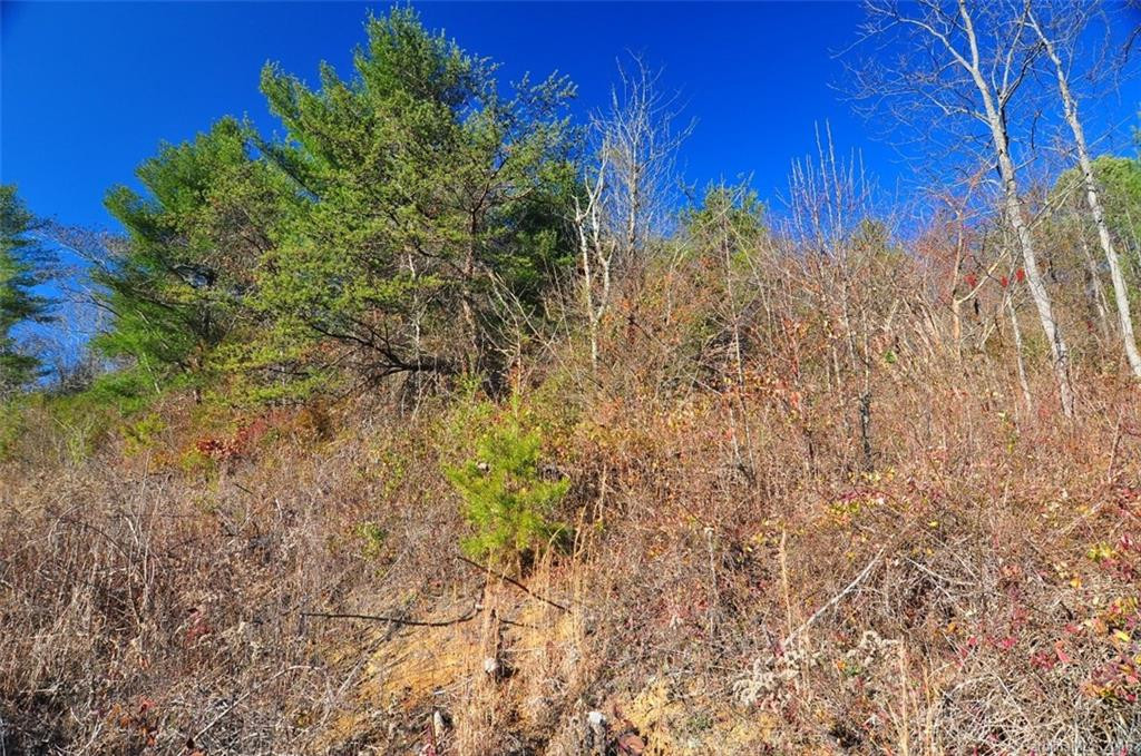 8390 US 25 70 Highway - Photo 18