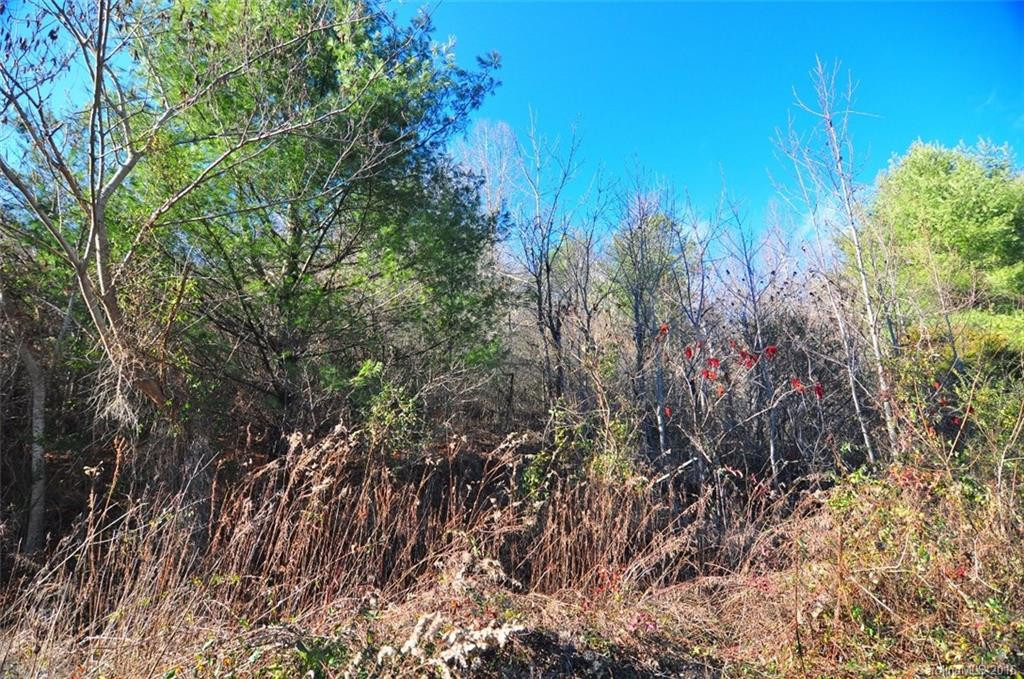 8390 US 25 70 Highway - Photo 19