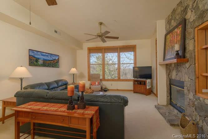 10 Stoney Falls Loop #4-302 - Photo 5