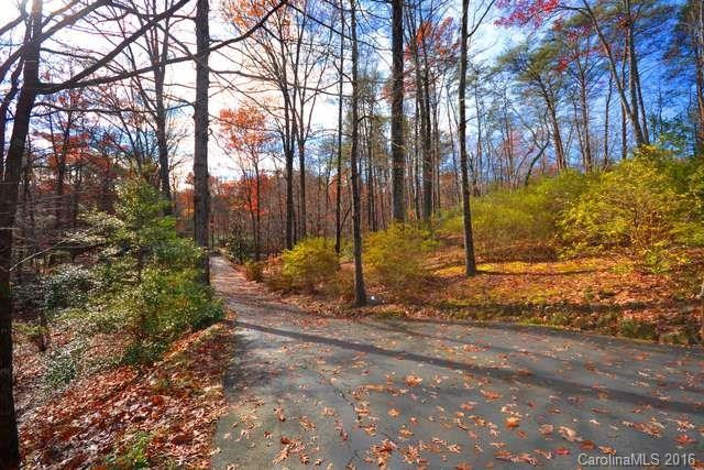 221 Duck Pond Lane - Photo 3