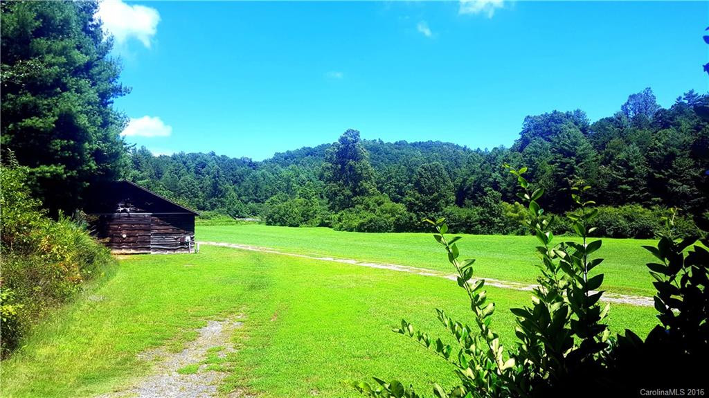 1142 Old Howard Gap Road - Photo 2