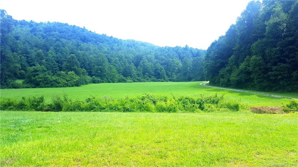 1142 Old Howard Gap Road - Photo 3