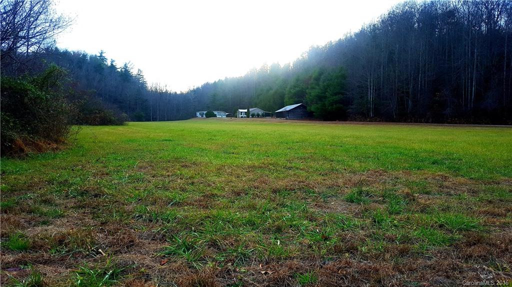 1142 Old Howard Gap Road - Photo 4