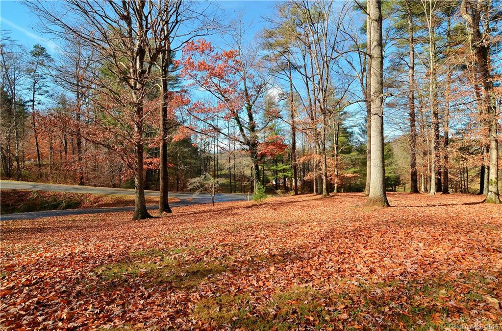 225 Ollie Weaver Road - Photo 20