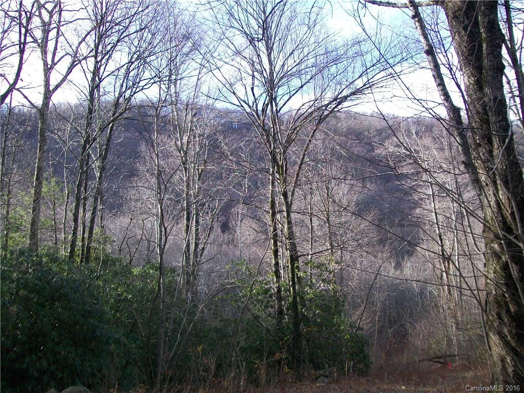 29 Doe Trail - Photo 3