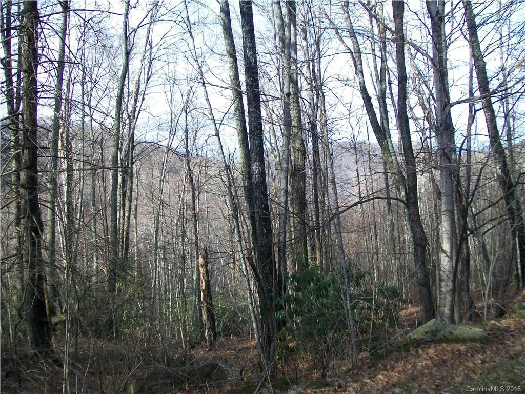 29 Doe Trail - Photo 4