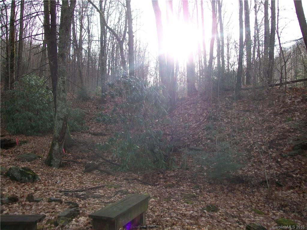 29 Doe Trail - Photo 5