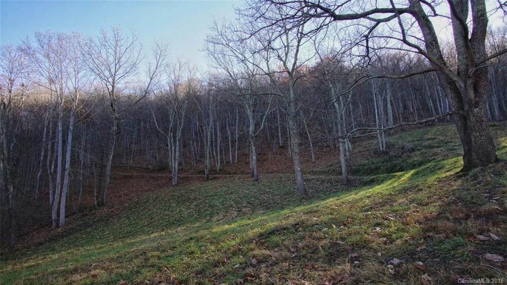 118 Wisteria Way - Photo 17
