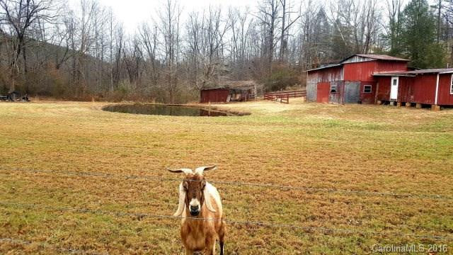 2460 Old Greenlee Road - Photo 16