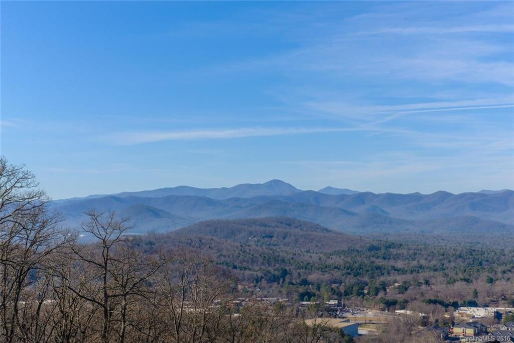 100 Distant View Drive #100 - Photo 4