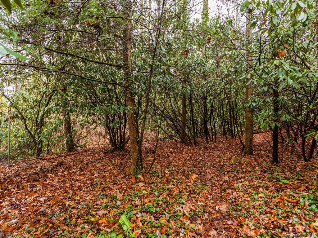 653 Avery Creek Road - Photo 3