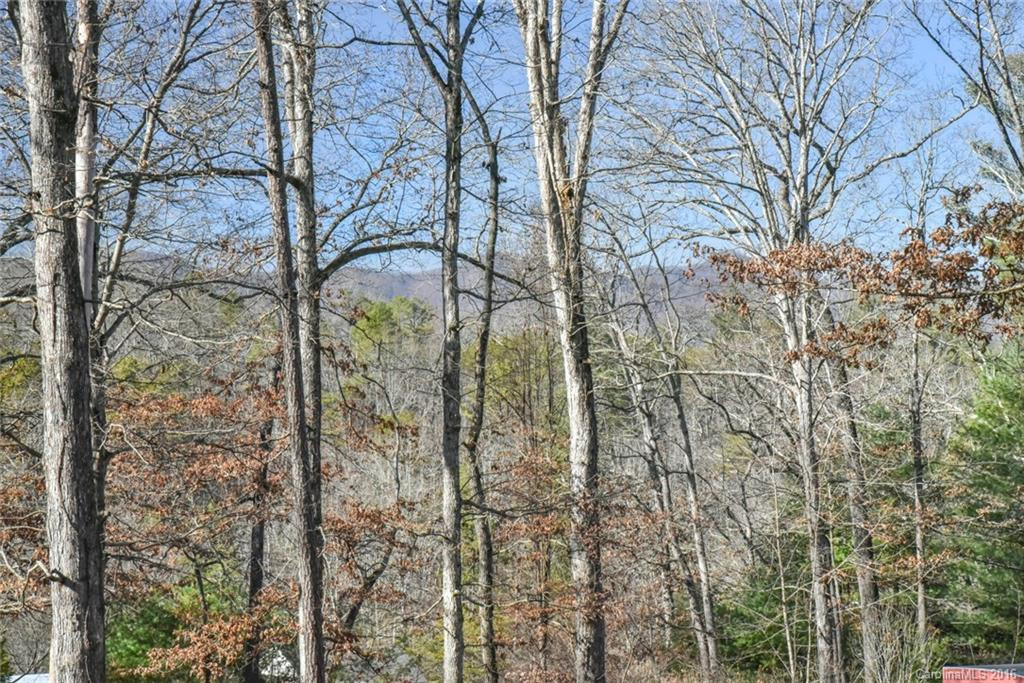 121 Beaver Creek Circle - Photo 6