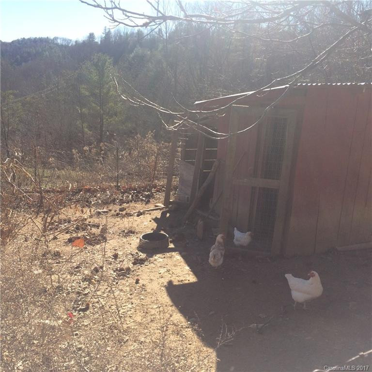 171 Graham Road - Photo 12
