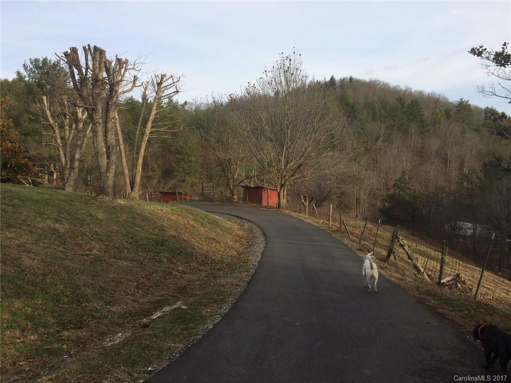 171 Graham Road - Photo 19