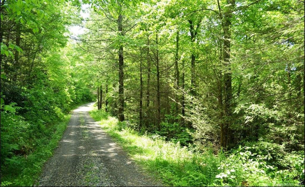 2 Seminole Trail - Photo 10