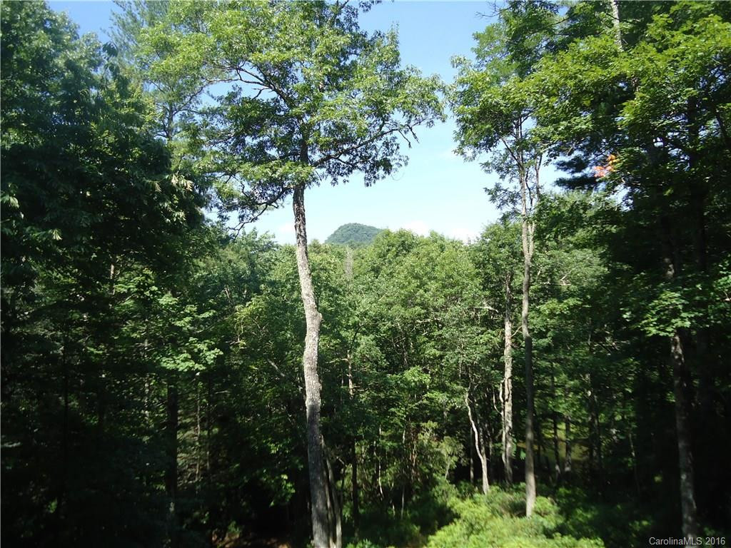 58 Rainbow's End Road - Photo 21