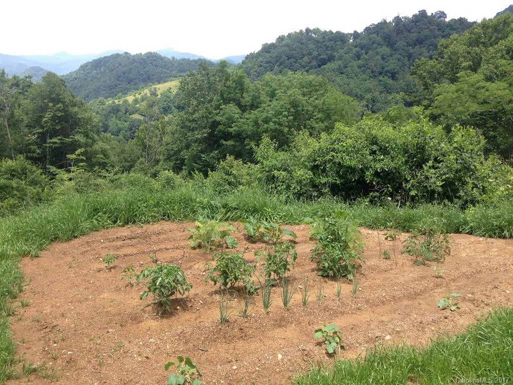 10040 Rush Fork Road - Photo 21