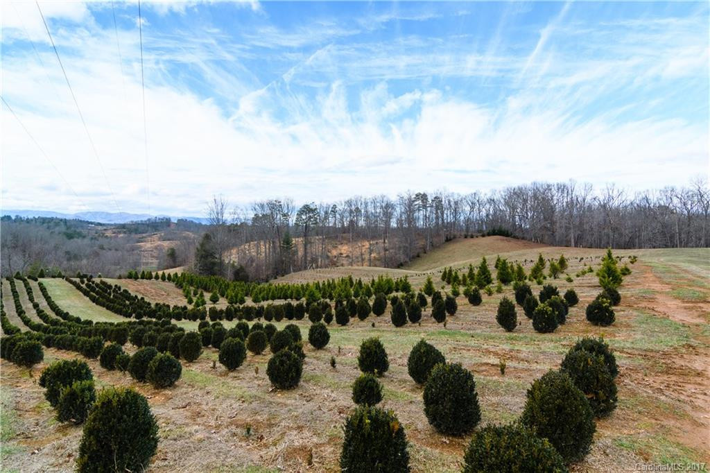 110 Farm Road - Photo 15