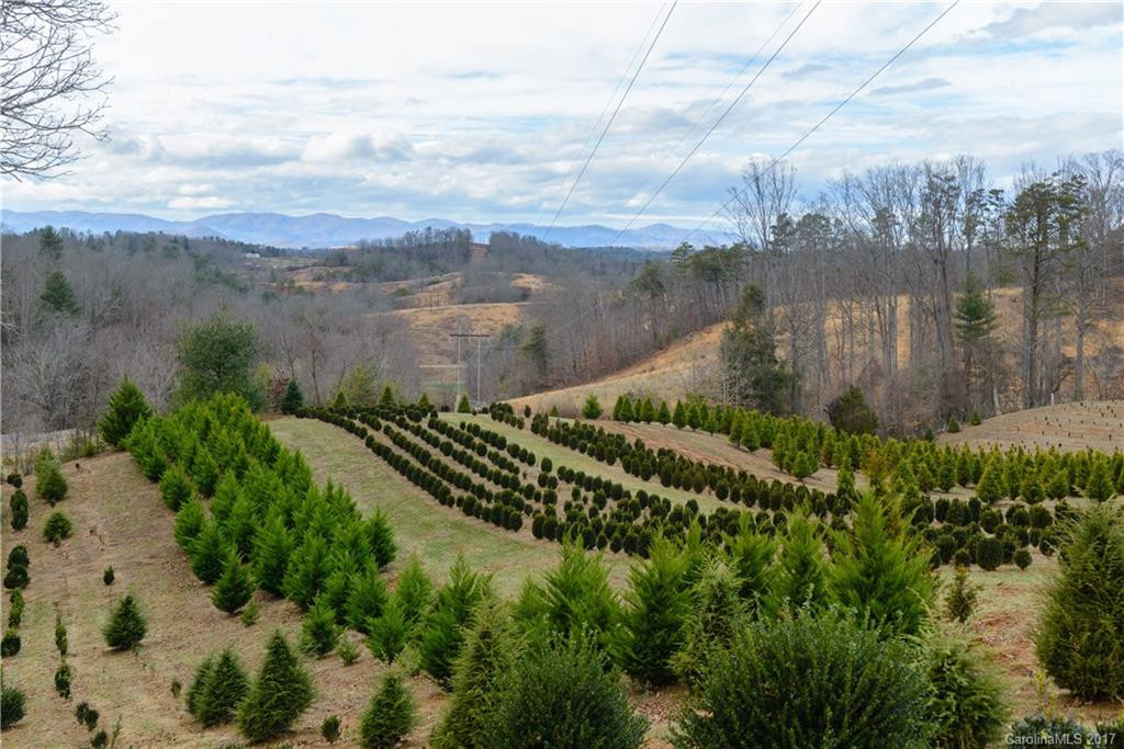 110 Farm Road - Photo 4