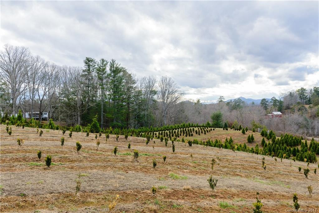 110 Farm Road - Photo 5