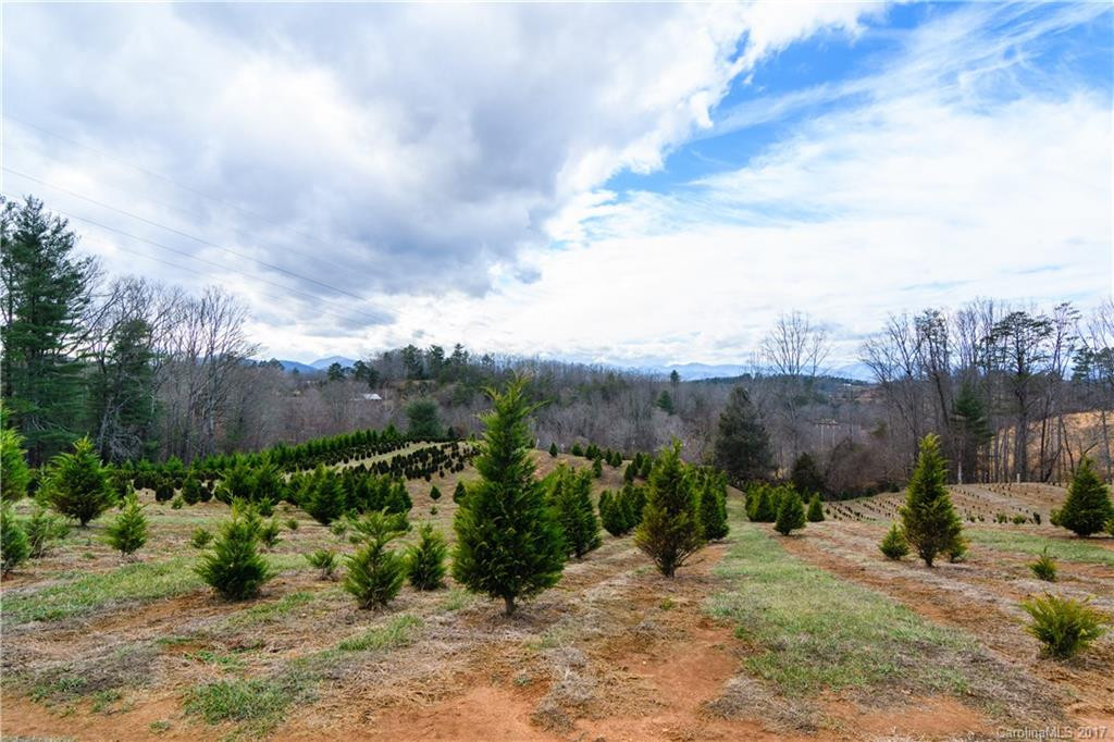 110 Farm Road - Photo 6