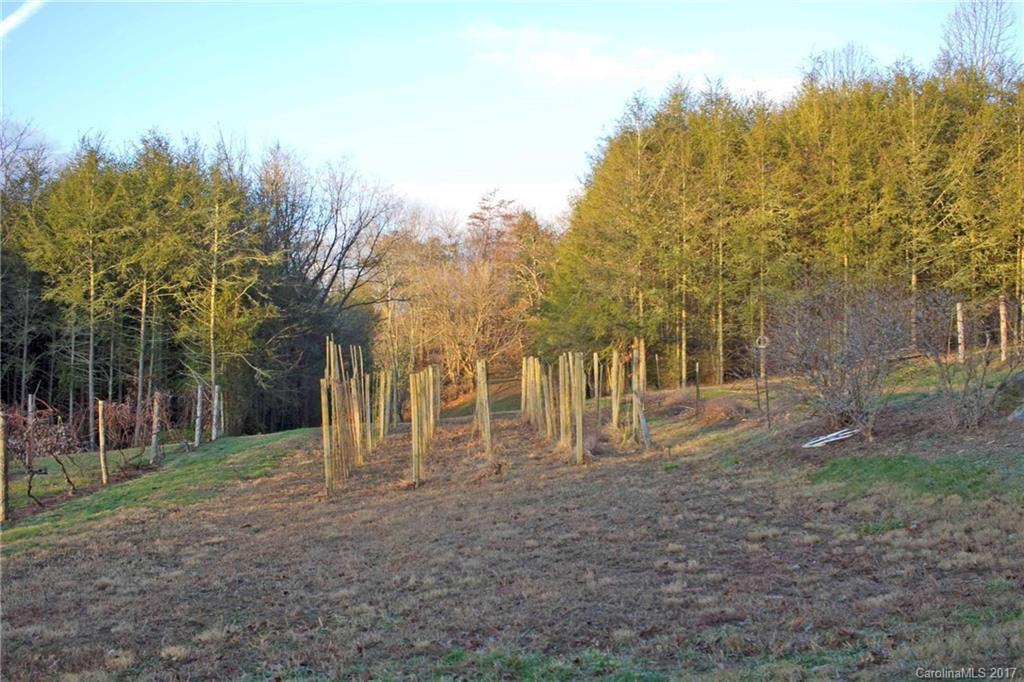 136 Lunar Trace Road - Photo 24