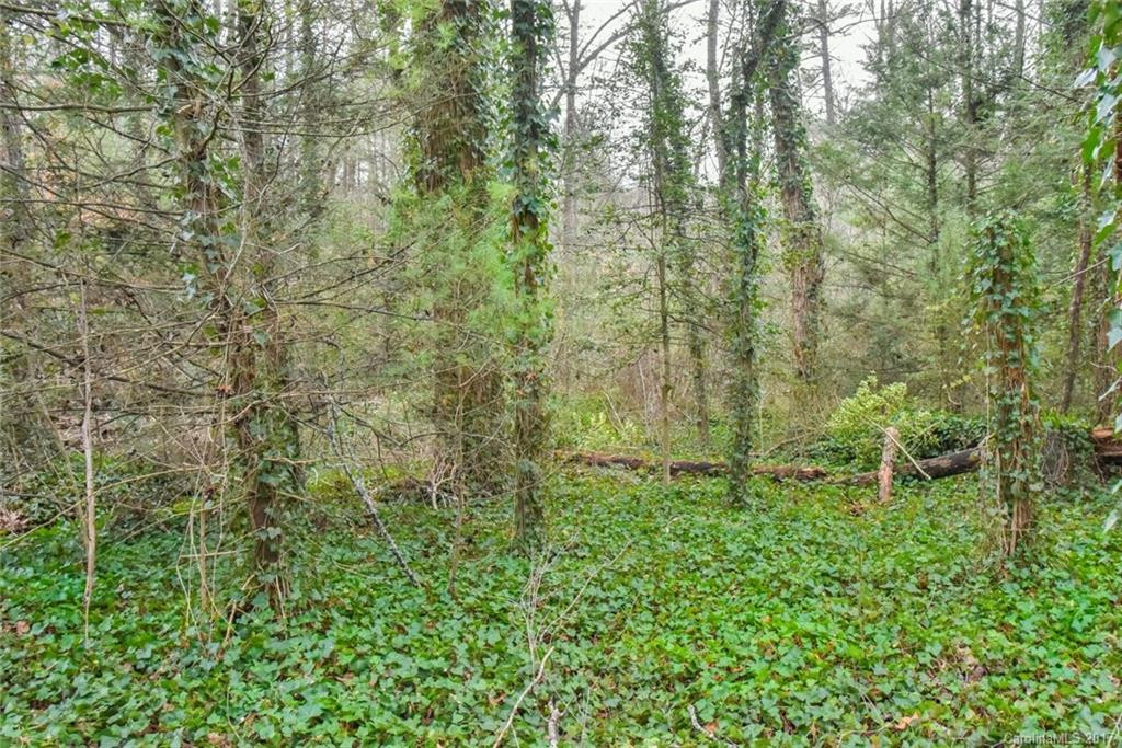 303 Colony Lane - Photo 5