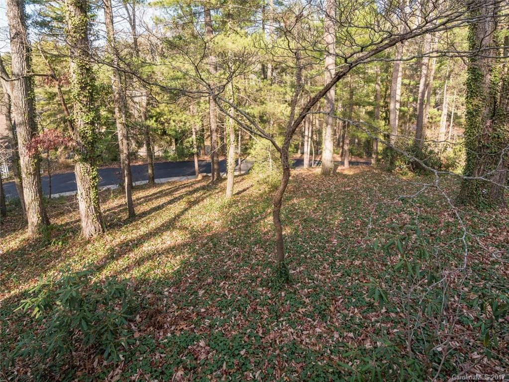 58 Woodland Road - Photo 10