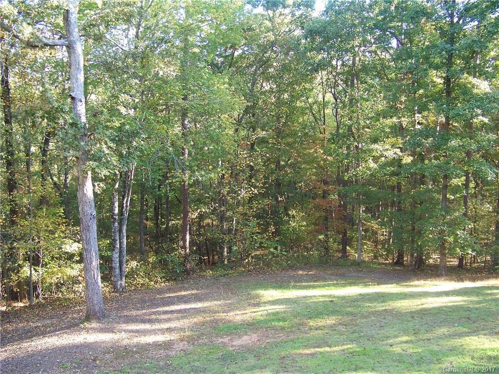 447 Travelers Rest Lane - Photo 17