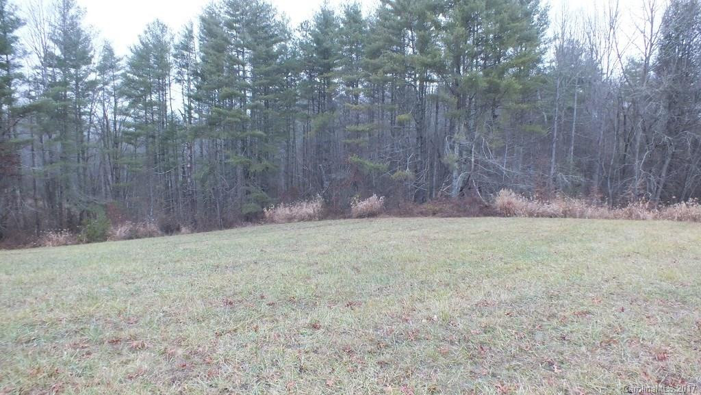 5.25 Acres Bull Creek Road - Photo 2