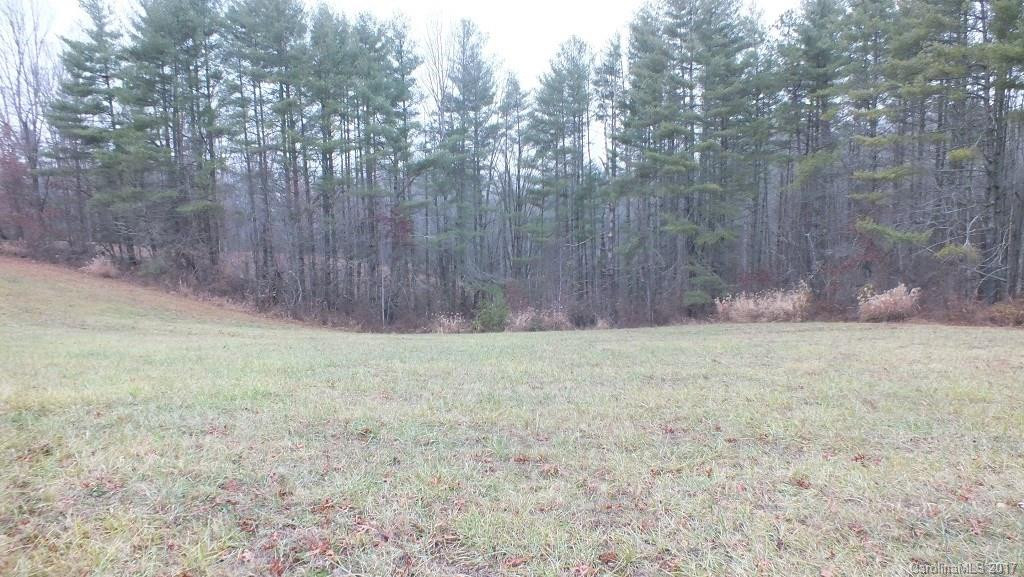 5.25 Acres Bull Creek Road - Photo 3