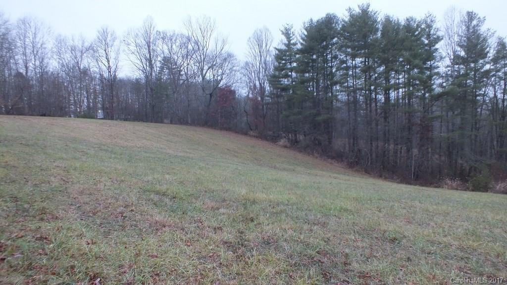 5.25 Acres Bull Creek Road - Photo 4
