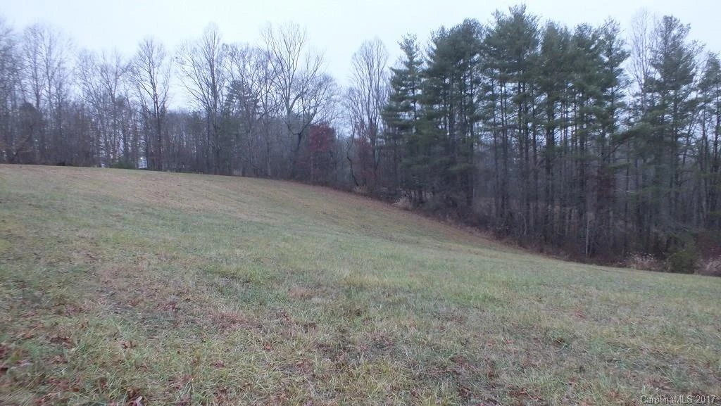 5.25 Acres Bull Creek Road - Photo 4