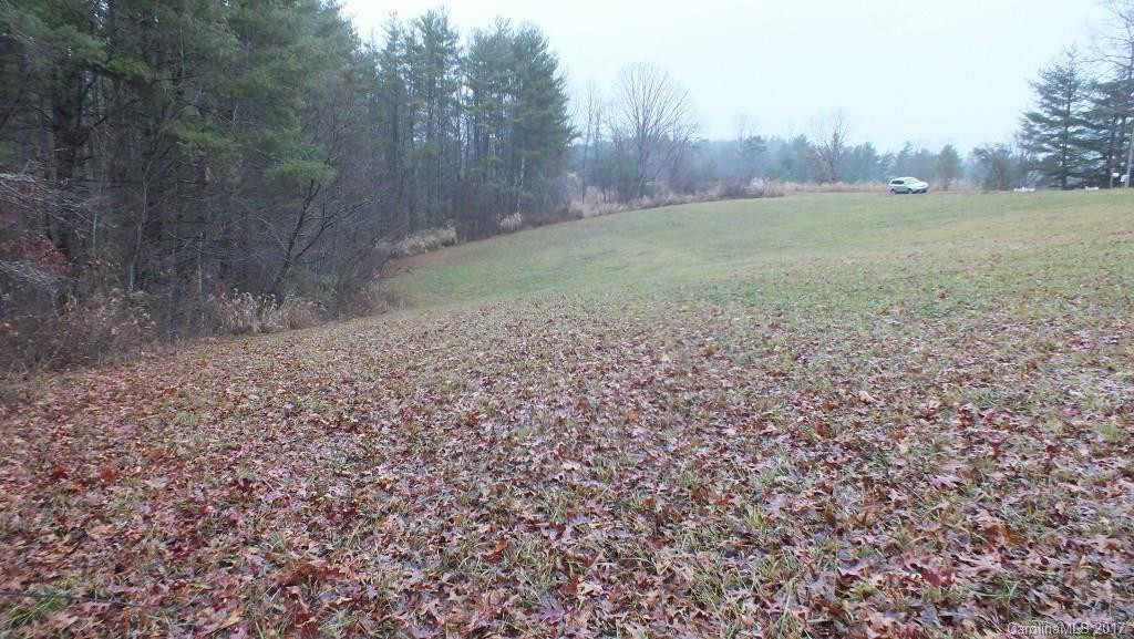 5.25 Acres Bull Creek Road - Photo 6