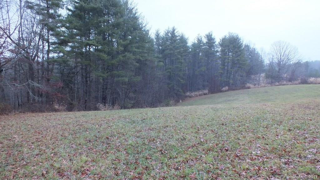 5.25 Acres Bull Creek Road - Photo 7