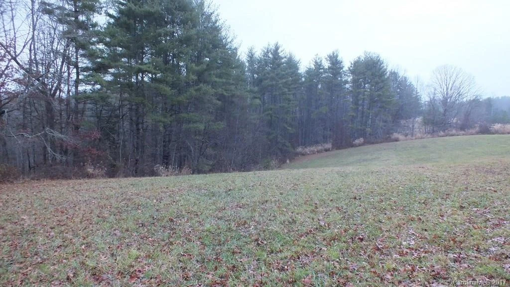 5.25 Acres Bull Creek Road - Photo 7