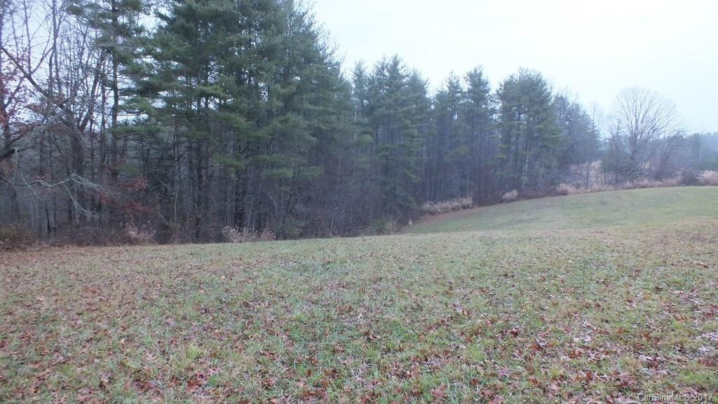 5.25 Acres Bull Creek Road - Photo 8