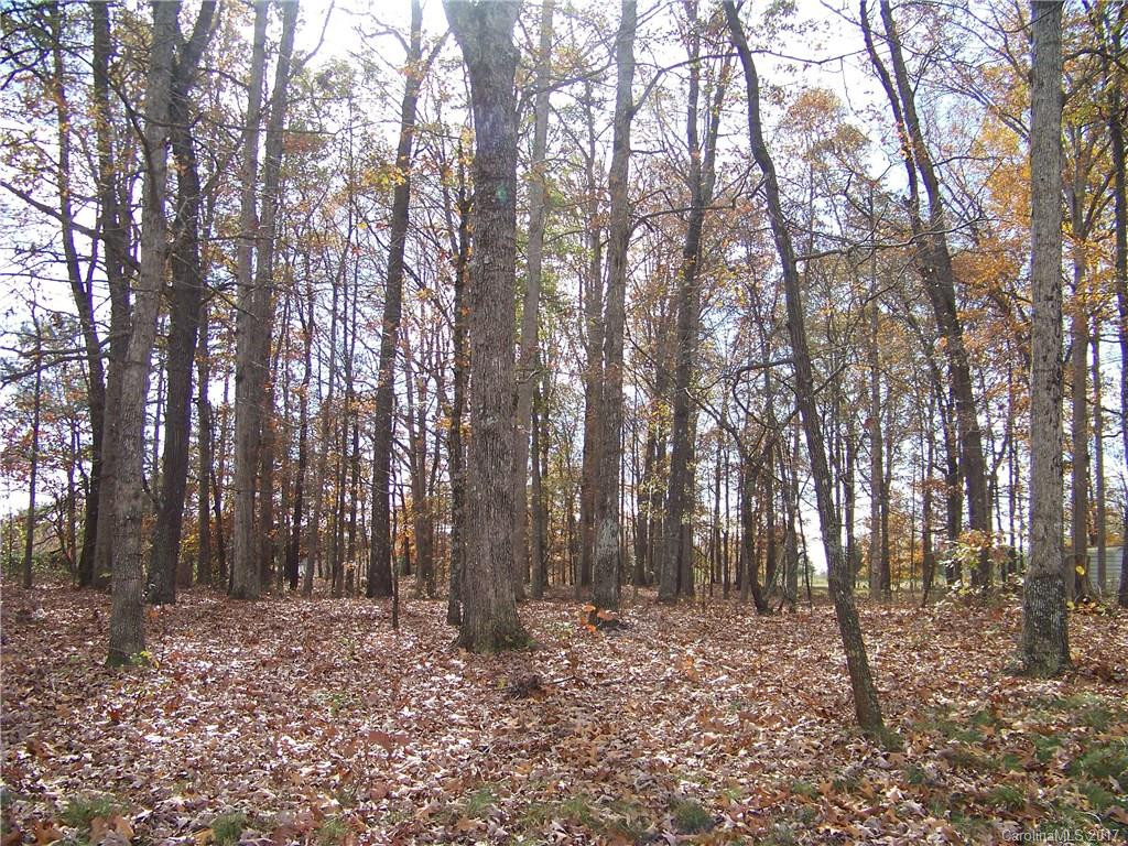 148 Black Road - Photo 11