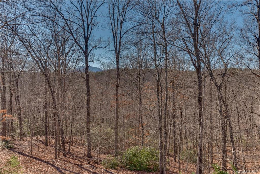 640 Laurel Heights Lane - Photo 23