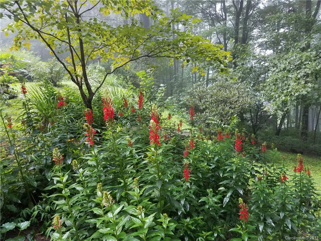 75 Bear Trail - Photo 19