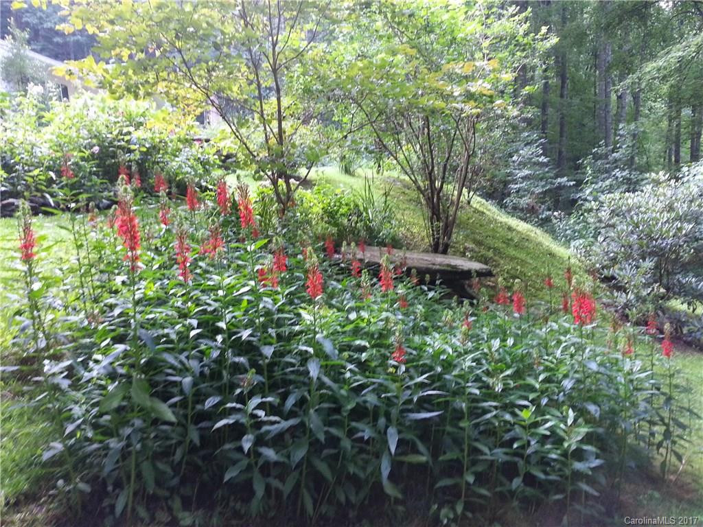 75 Bear Trail - Photo 3
