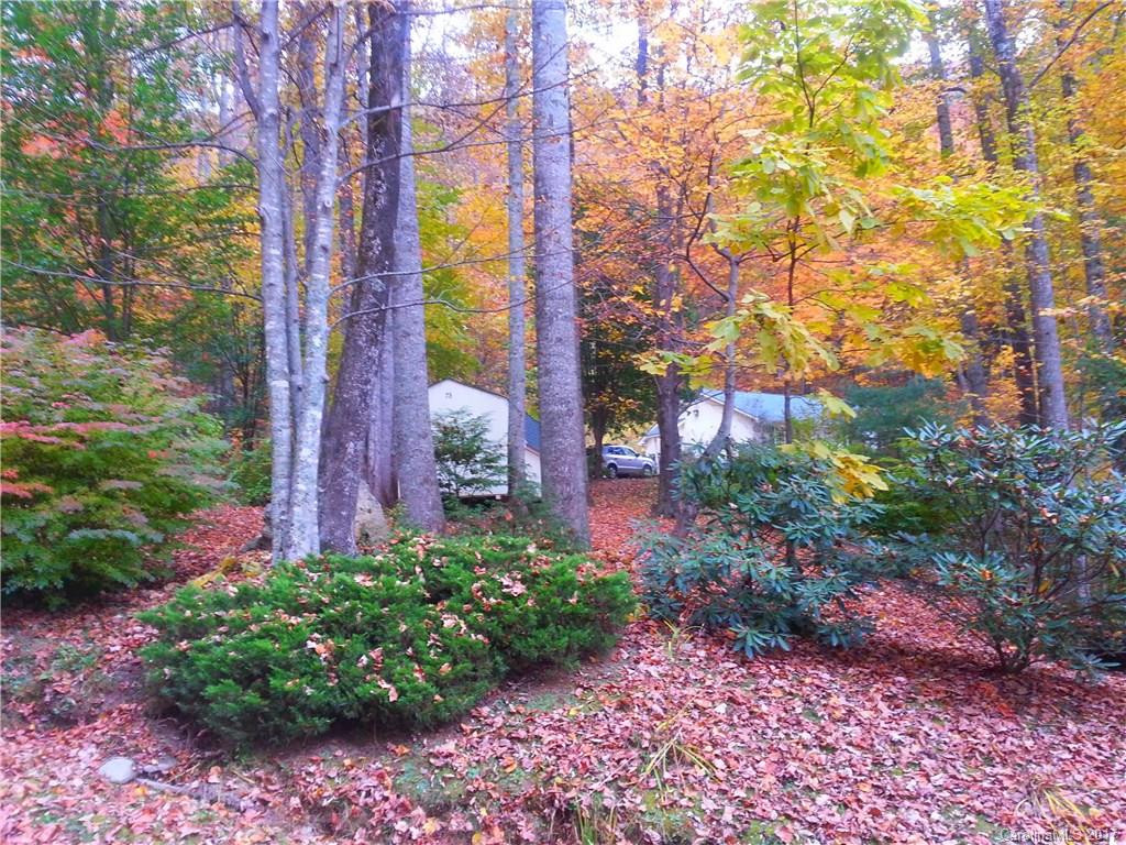 75 Bear Trail - Photo 4