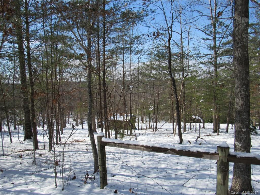 156 Sassafras Ridge #47 & 97 - Photo 3